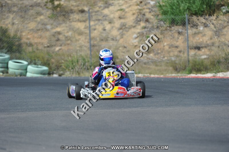 DSC (3223).JPG